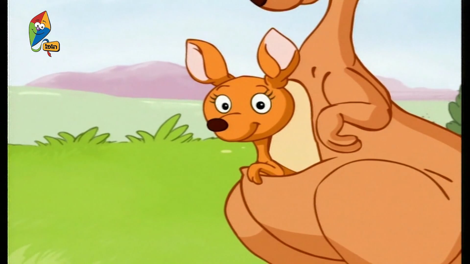 Kangaroo